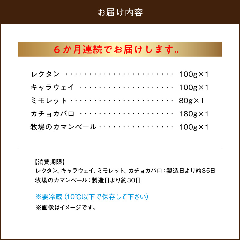 ＜全6回定期便・連続＞【おおともチーズ工房】厳選ナチュラルチーズ5種詰め合わせセット_H0003-109
