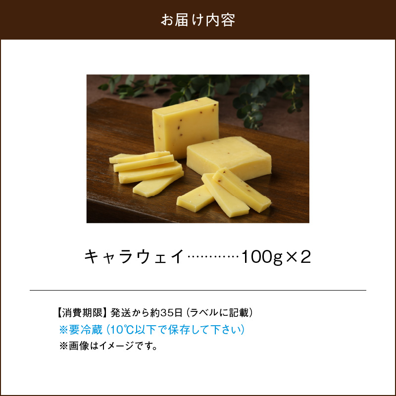 【おおともチーズ工房】キャラウェイチーズ100g×2個_H0003-106
