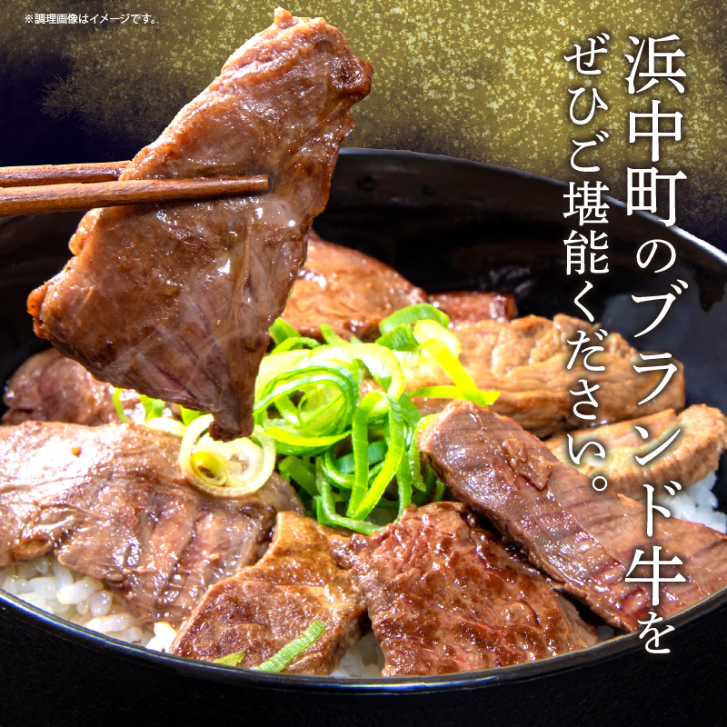 ＜全3回・連続＞浜中牛づくし定期便_H0019-109