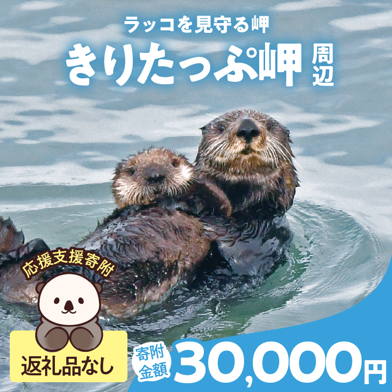 ラッコを見守る岬「きりたっぷ岬」周辺の環境整備　30000円分「きりたん」返礼品なし_H0028-013