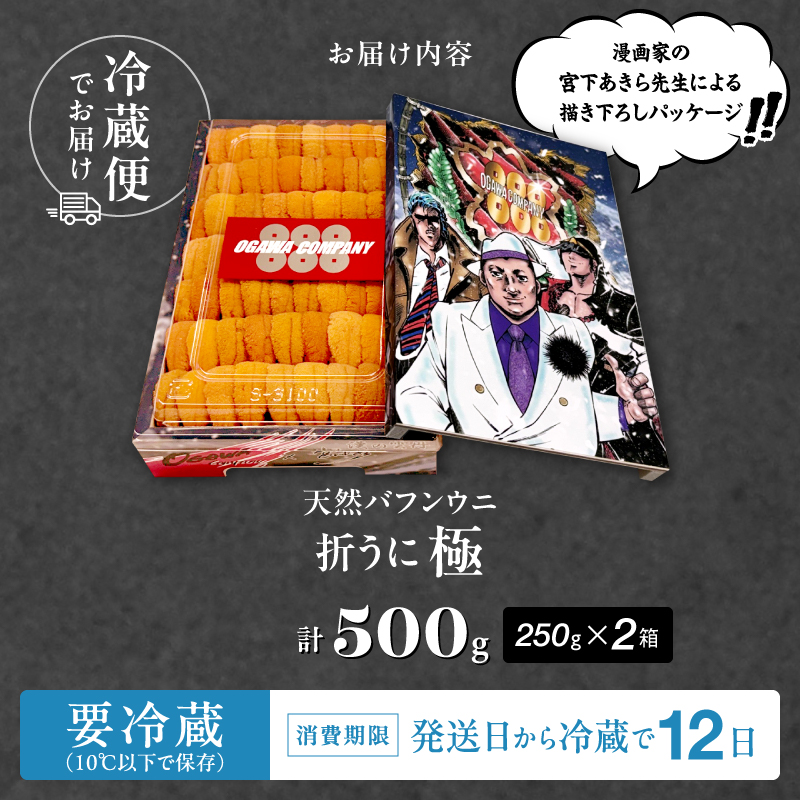 ≪プロ厳選≫最高級折うに(極)宮下あきら先生パッケージVer計500g うに ウニ 雲丹 折うに 海鮮 海産物 北海道 浜中町 ふるさと納税 人気_H0014-106