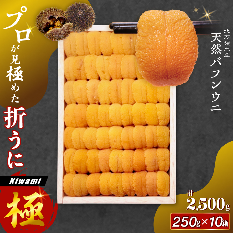 ≪プロ厳選≫最高級折うに(極)計2500g うに ウニ 雲丹 折うに 海鮮 海産物 北海道 浜中町 ふるさと納税 人気_H0014-104