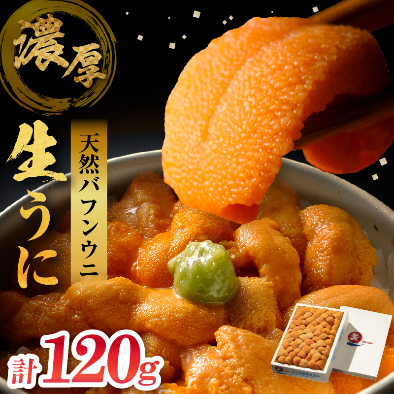 ≪氷温熟成≫ 生折うに(天然バフンウニ) 120g×1枚 うに ウニ 雲丹 折うに バフンウニ 天然うに 天然バフンウニ 生うに 海鮮 海産物 北海道 浜中町 ふるさと納税 人気_H0009-101