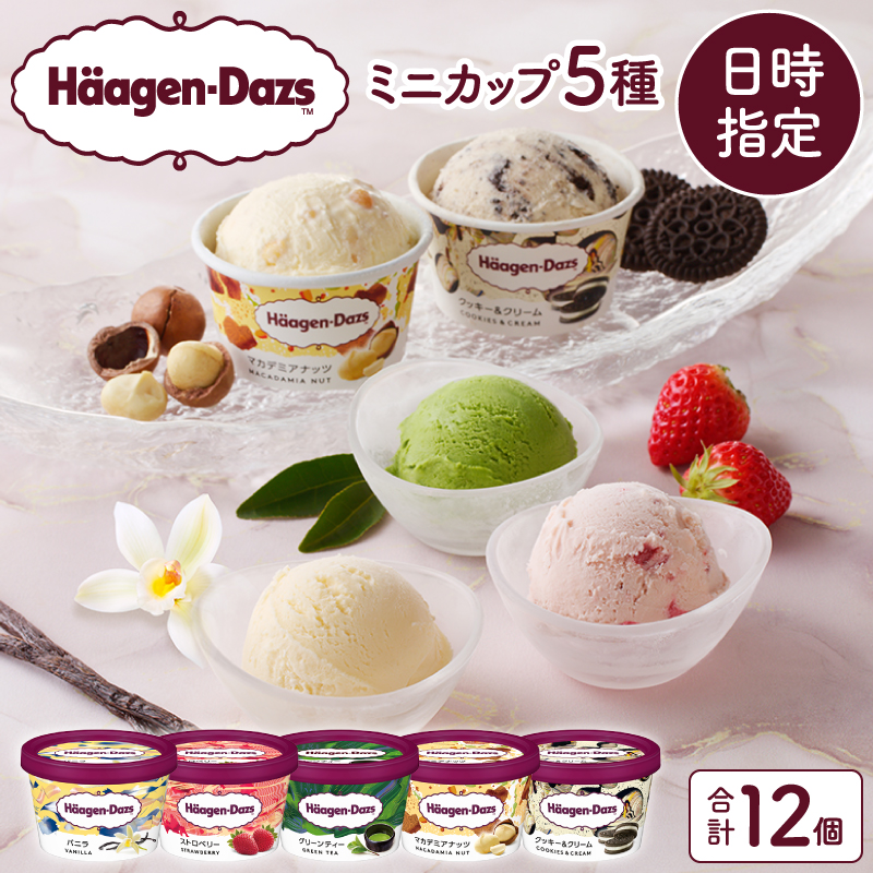【着日指定できます!!】ハーゲンダッツ『定番ミニカップ5種セット(合計12個)』アイスクリーム アイス スイーツ デザート_H0016-193