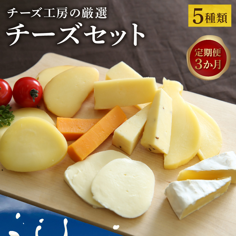 ＜全3回定期便・連続＞【おおともチーズ工房】厳選ナチュラルチーズ5種詰め合わせセット_H0003-108