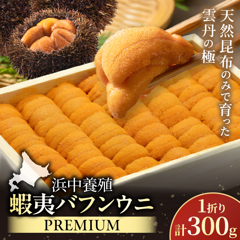 ≪浜中養殖≫蝦夷バフンウニ(300g)折箱入り_H0038-106