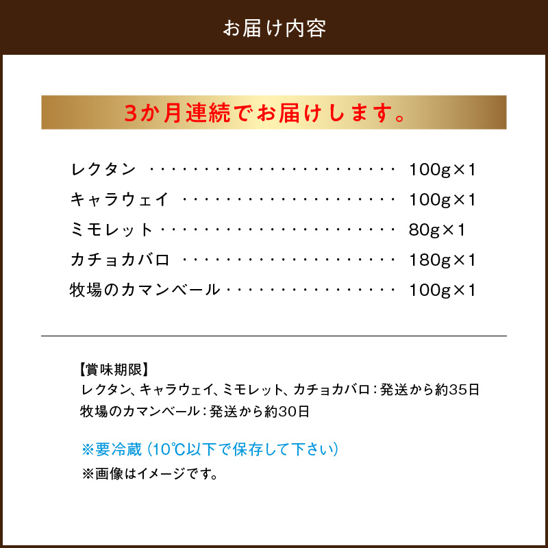 ＜全3回定期便・連続＞【おおともチーズ工房】厳選ナチュラルチーズ5種詰め合わせセット_H0003-108