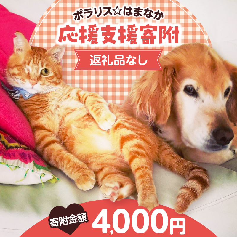 【動物愛護ボランティア】浜中町「ポラリス☆はまなか」を支援　4000円分 返礼品なし_H0048-004