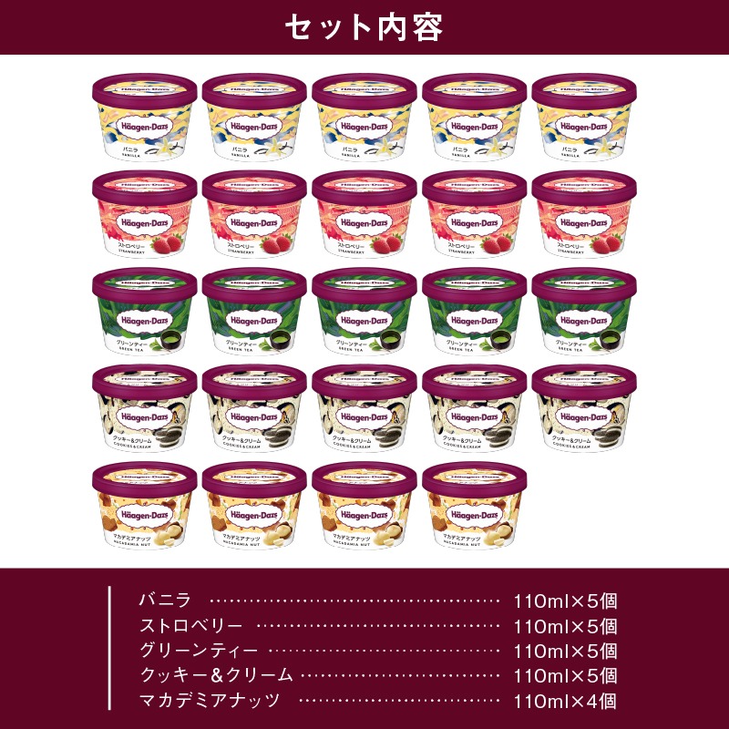 【着日指定できます!!】ハーゲンダッツ『定番ミニカップ5種セット(合計24個)』アイスクリーム アイス スイーツ デザート_H0016-133