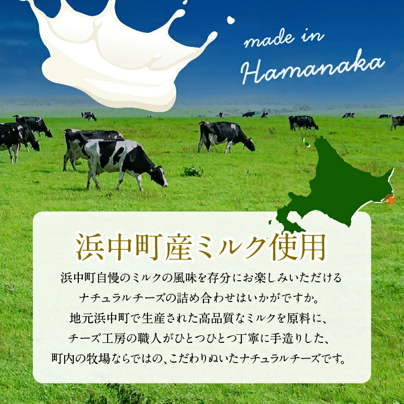 【おおともチーズ工房】キャラウェイチーズ100g×2個_H0003-106