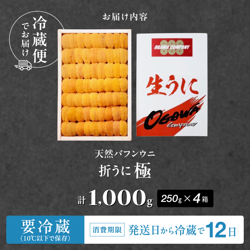 ≪プロ厳選≫最高級折うに(極)計1000g うに ウニ 雲丹 折うに 海鮮 海産物 北海道 浜中町 ふるさと納税 人気_H0014-103