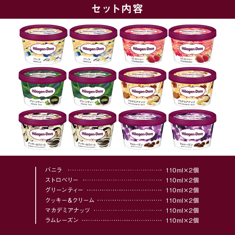 ハーゲンダッツ『ミニカップ12個セット（定番フレーバー＆ラムレーズン味）』アイスクリーム アイス スイーツ デザート_H0016-113
