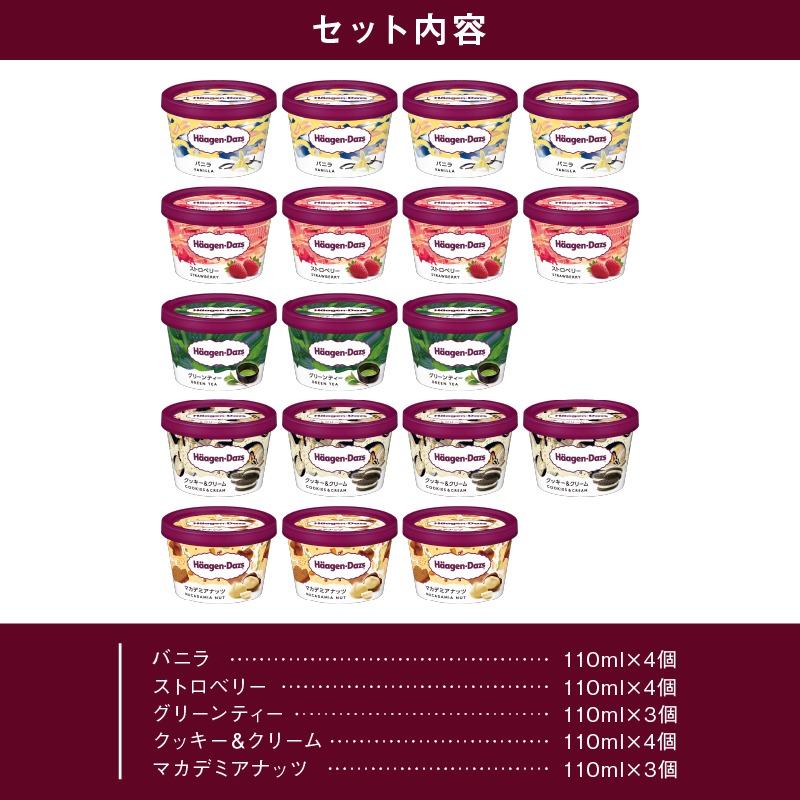 【着日指定できます!!】ハーゲンダッツ『定番ミニカップ5種セット(合計18個)』アイスクリーム アイス スイーツ デザート_H0016-127