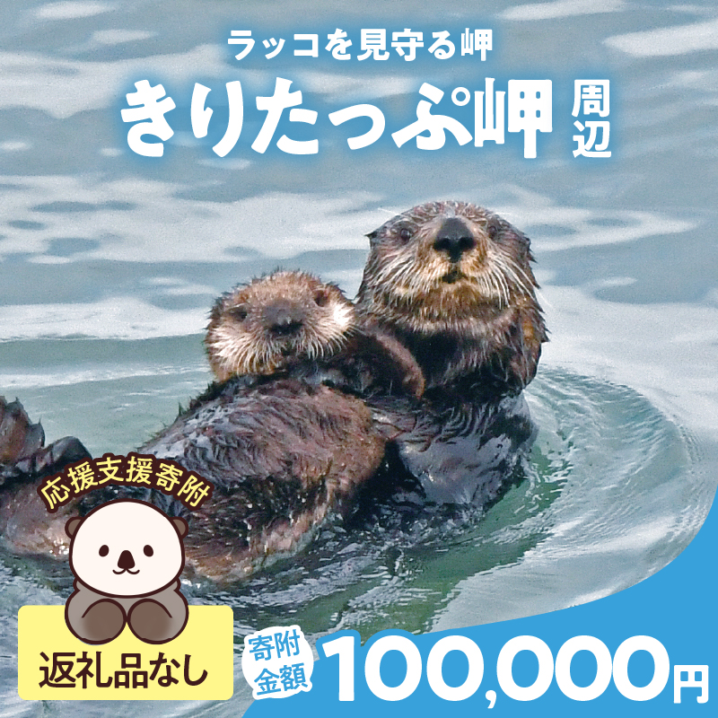 ラッコを見守る岬「きりたっぷ岬」周辺の環境整備　100000円分「きりたん」返礼品なし_H0028-015