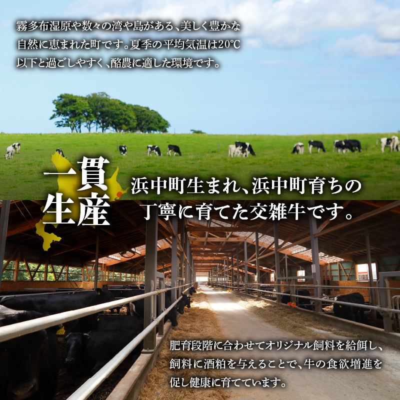 ＜全4回・連続＞浜中牛づくし定期便（焼肉・ステーキ・すき焼き・切り落とし）_H0019-111