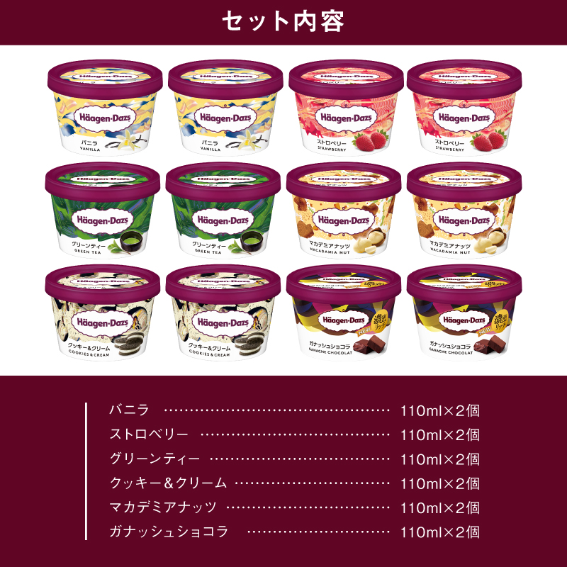 ハーゲンダッツ『ミニカップ12個セット（定番フレーバー＆新商品 ガナッシュショコラ）』アイスクリーム アイス スイーツ デザート_H0016-114