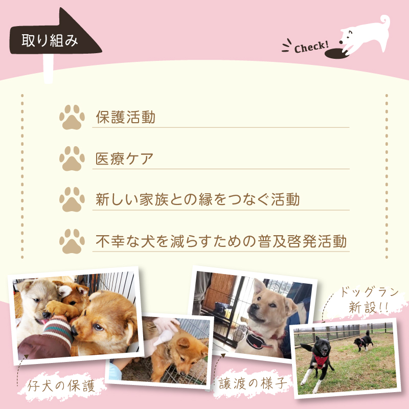 【野犬の保護活動】浜中町「ドッグレスキューしおんの会」を支援　30000円分 返礼品なし_H0039-007