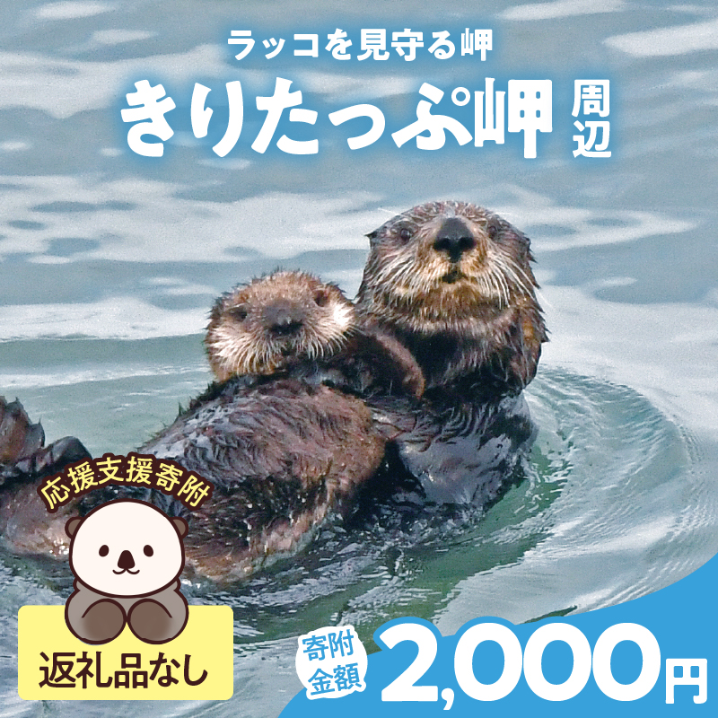 ラッコを見守る岬「きりたっぷ岬」周辺の環境整備　2000円分 返礼品なし_H0028-008