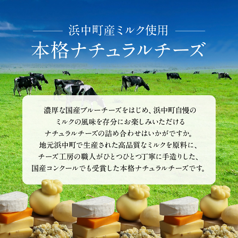 ＜全3回定期便・連続＞【おおともチーズ工房】厳選ナチュラルチーズ5種詰め合わせセット_H0003-108