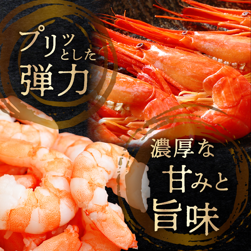 北海しまえび(大)　300g×1箱(13尾前後) しまえび シマエビ えび エビ 海老 北海しまえび 海鮮 魚介 新鮮 贅沢 北海道 浜中町 ふるさと納税 人気 贈答用_H0001-1221