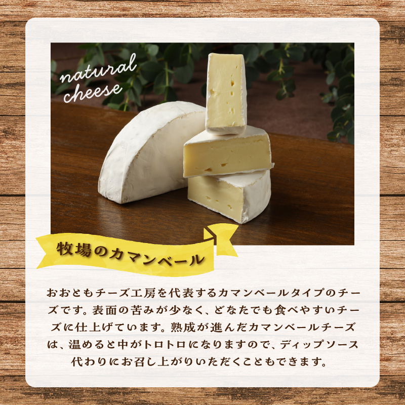 【おおともチーズ工房】牧場のカマンベールチーズ100g×2個（ハーフカット）_H0003-103