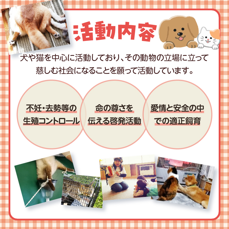 【動物愛護ボランティア】浜中町「ポラリス☆はまなか」を支援　4000円分 返礼品なし_H0048-004