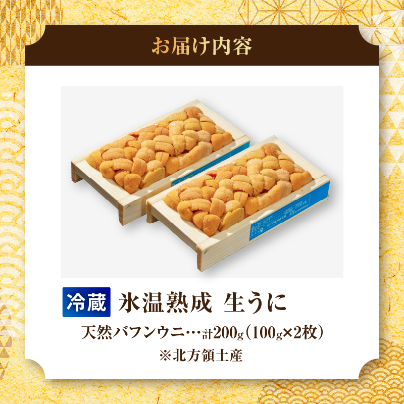 ≪氷温熟成≫ 生折うに (天然バフンウニ) 100g×2枚 うに ウニ 雲丹 折うに バフンウニ 天然うに 天然バフンウニ 生うに 海鮮 海産物 北海道 浜中町 ふるさと納税 人気_H0009-102