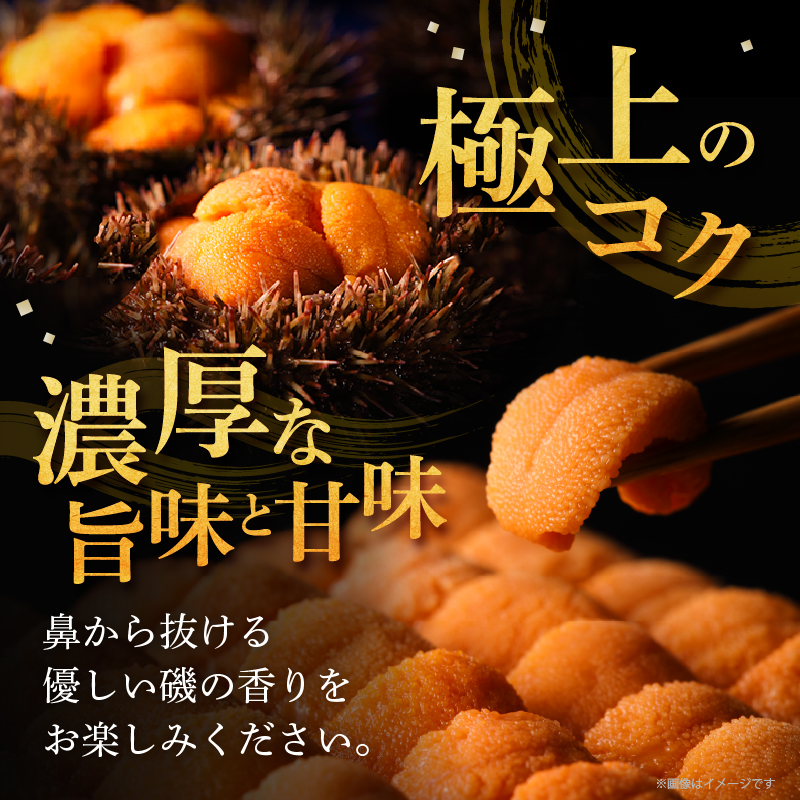 ≪氷温熟成≫ 生折うに (天然バフンウニ) 100g×2枚 うに ウニ 雲丹 折うに バフンウニ 天然うに 天然バフンウニ 生うに 海鮮 海産物 北海道 浜中町 ふるさと納税 人気_H0009-102