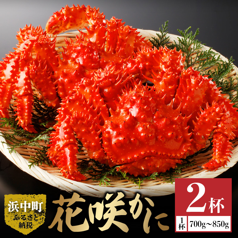 花咲かに2杯セット(1杯700g〜850g)_H0001-1511
