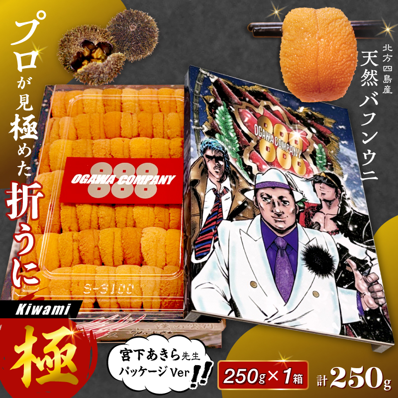 ≪プロ厳選≫最高級折うに(極)宮下あきら先生パッケージVer計250g うに ウニ 雲丹 折うに 海鮮 海産物 北海道 浜中町 ふるさと納税 人気_H0014-105