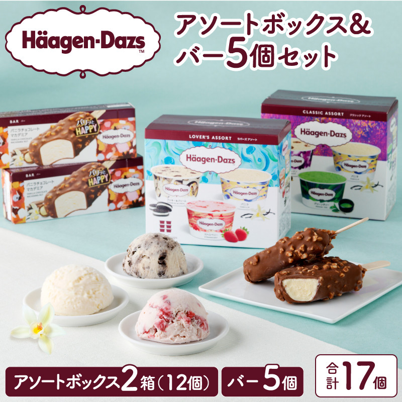 ハーゲンダッツバラエティセット(アソート＆バー5本) アイス スイーツ デザート_H0026-101