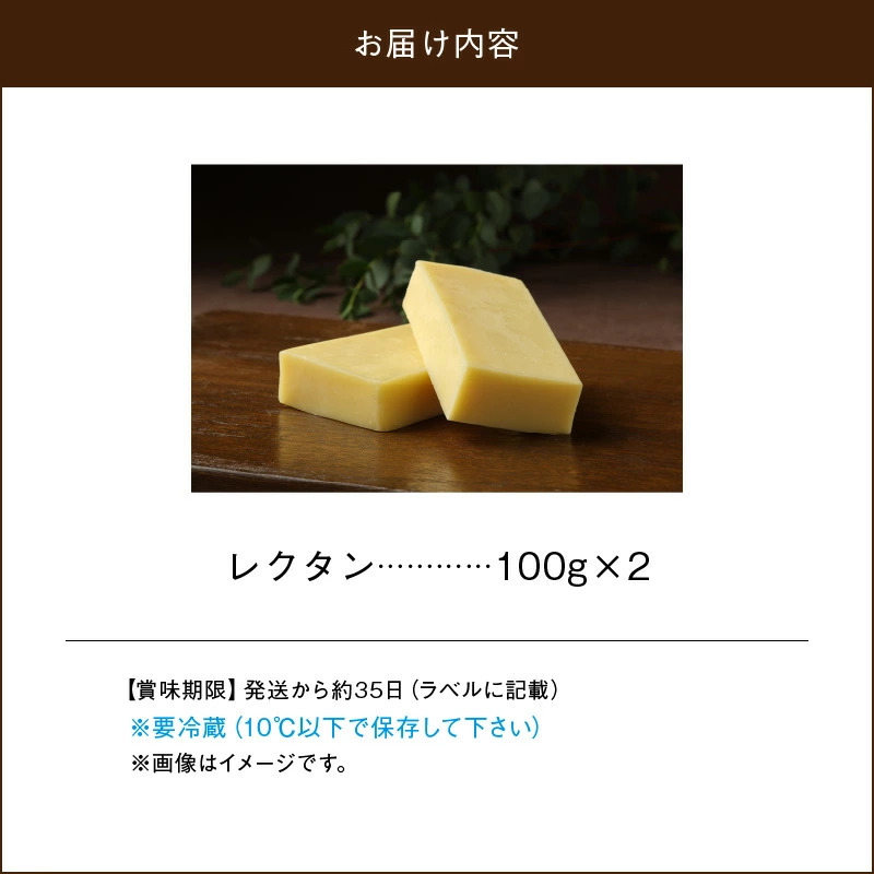 【おおともチーズ工房】レクタンチーズ100g×2個_H0003-107