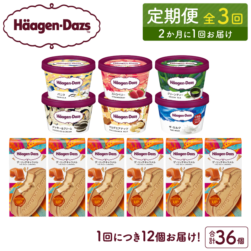 ＜全3回定期便・隔月＞ハーゲンダッツ『ミニカップ＆クリスピーサンド ザ・リッチキャラメルセット(合計36個)』アイスクリーム アイス スイーツ デザート_H0016-140