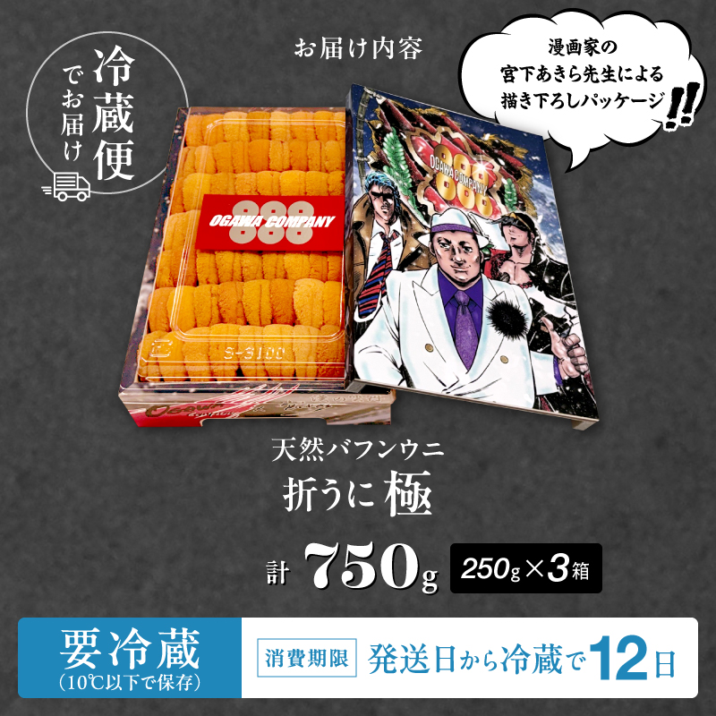 ≪プロ厳選≫最高級折うに(極)宮下あきら先生パッケージVer計750g うに ウニ 雲丹 折うに 海鮮 海産物 北海道 浜中町 ふるさと納税 人気_H0014-107