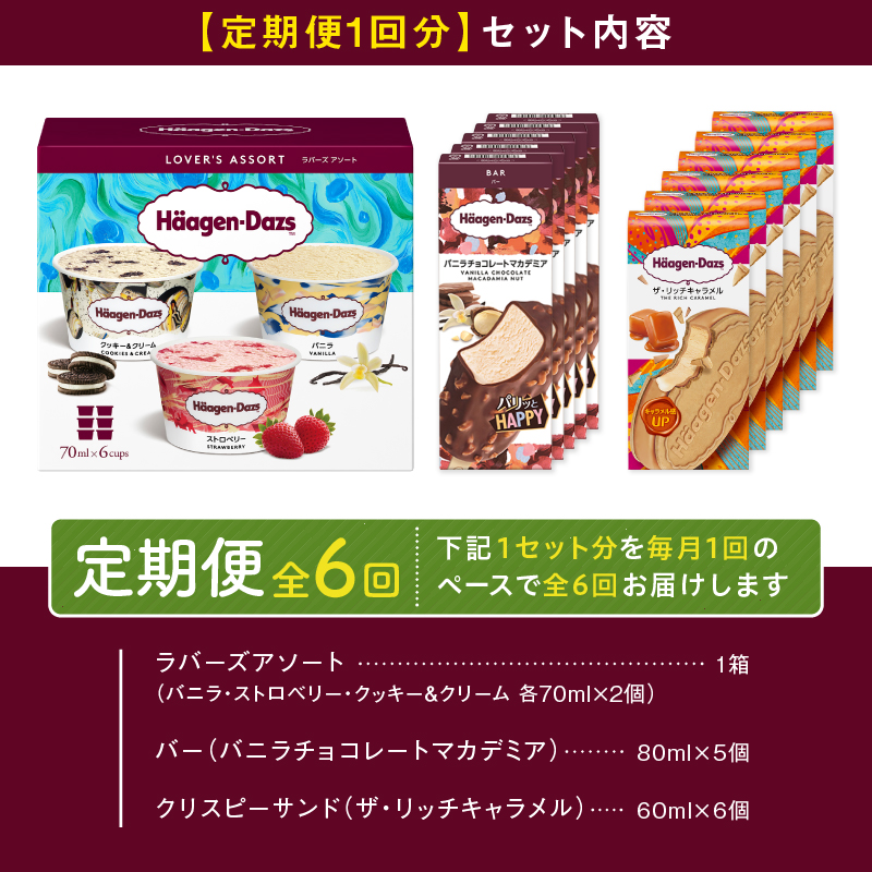 ＜全6回定期便・連続＞ハーゲンダッツ『3種の贅沢ギフトセット(合計102個)』アイスクリーム アイス スイーツ デザート_H0016-230