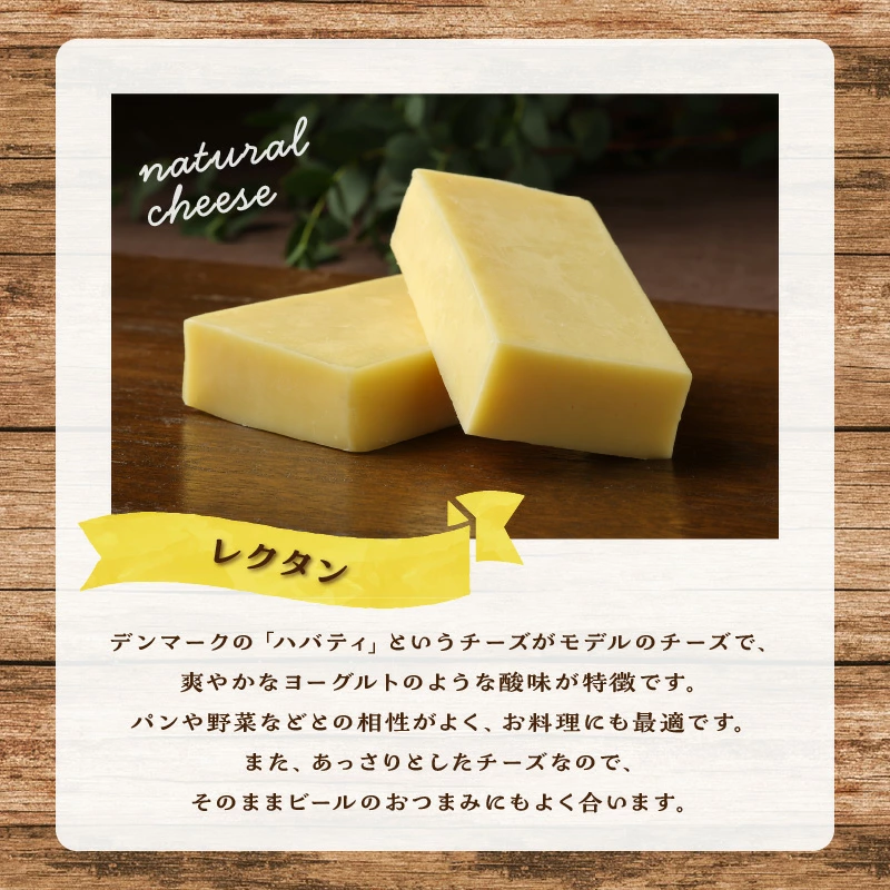 【おおともチーズ工房】レクタンチーズ100g×2個_H0003-107