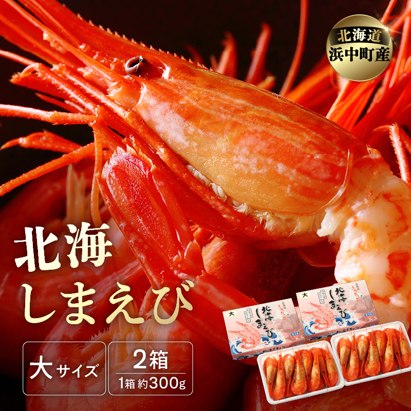 北海しまえび(大)300g×2箱(1箱あたり13尾前後) しまえび シマエビ えび エビ 海老 北海しまえび 海鮮 魚介 新鮮 贅沢 北海道 浜中町 ふるさと納税 人気 贈答用_H0001-1231