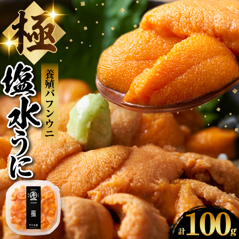 養殖エゾバフンウニ(塩水パック)100g_H0009-115