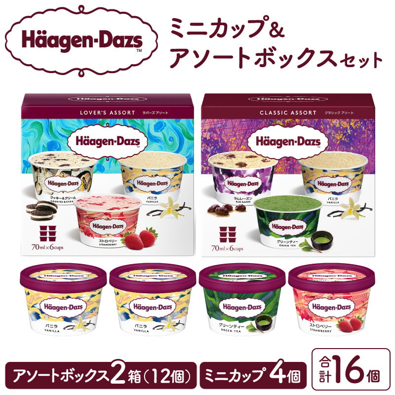 ハーゲンダッツ バラエティセット(アソート＆ミニカップ) アイス スイーツ デザート_H0026-102