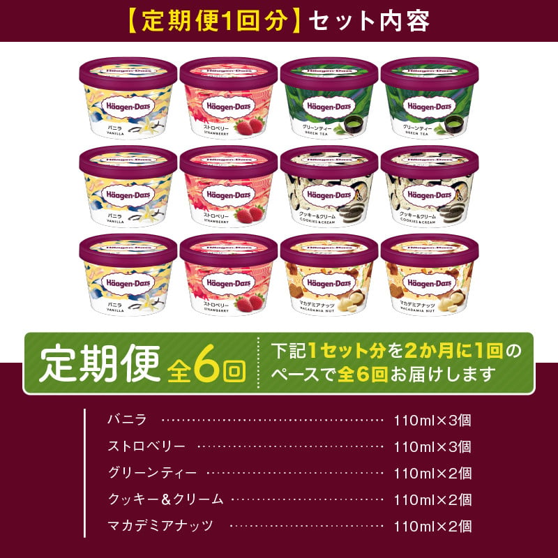 ＜全6回定期便・隔月＞ハーゲンダッツ『定番ミニカップフレーバー5種セット(合計72個)』アイスクリーム アイス スイーツ デザート_H0016-161