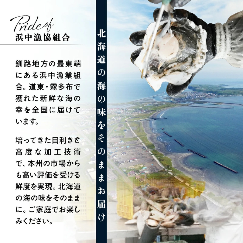 【北海道浜中町産】たこ三昧セット(合計4種)_H0001-109