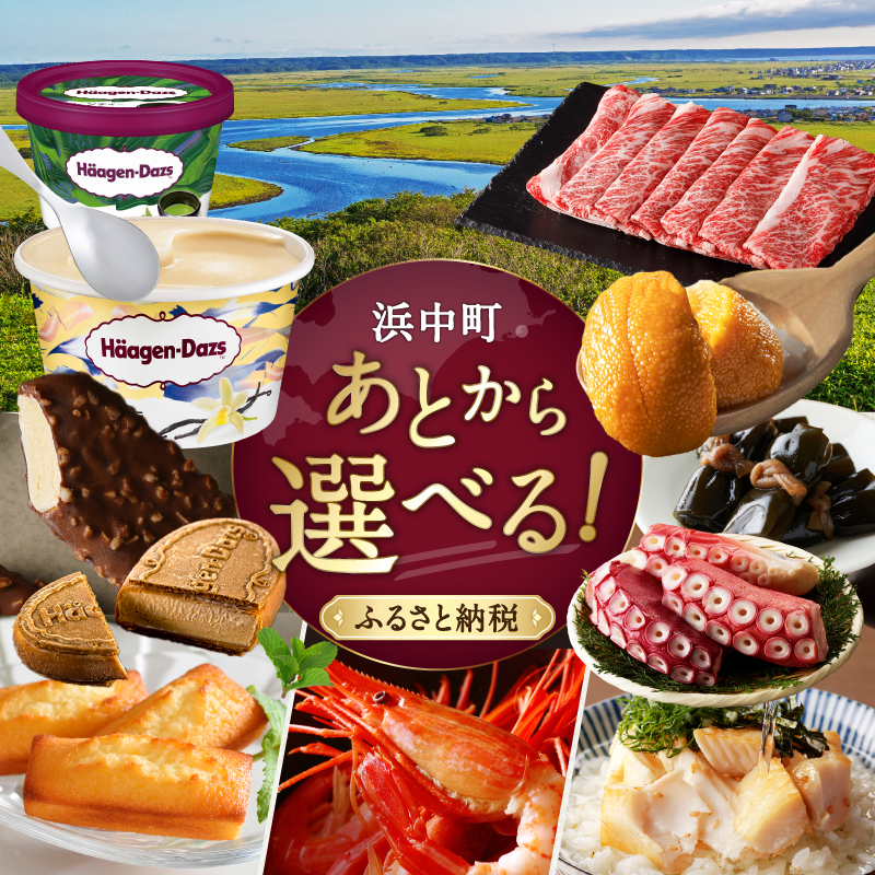 あとからセレクト【ふるさとギフト】 寄附100万円相当_H-gift019