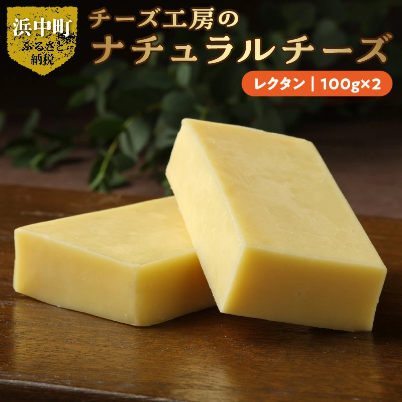 【おおともチーズ工房】レクタンチーズ100g×2個_H0003-107