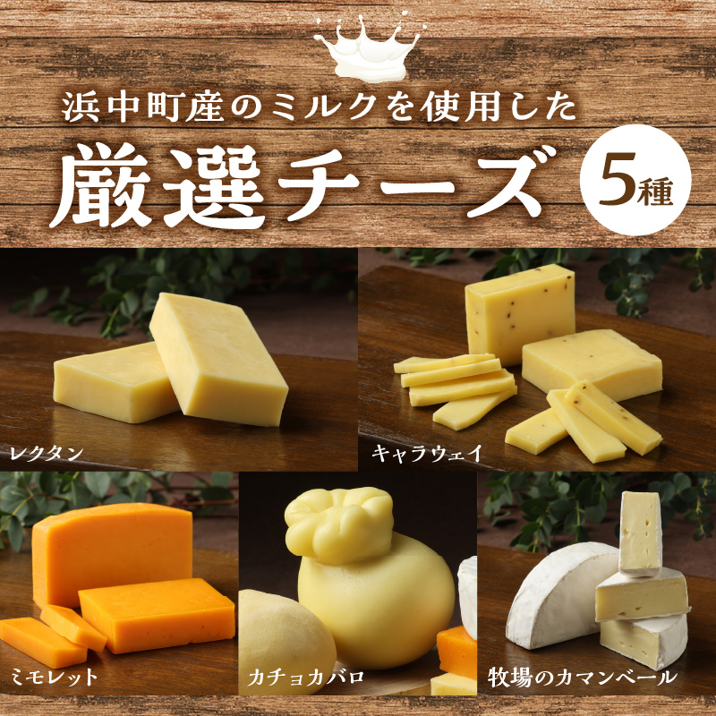 【おおともチーズ工房】厳選チーズセットとチーズ工房のピザ3種詰め合わせ_H0003-100