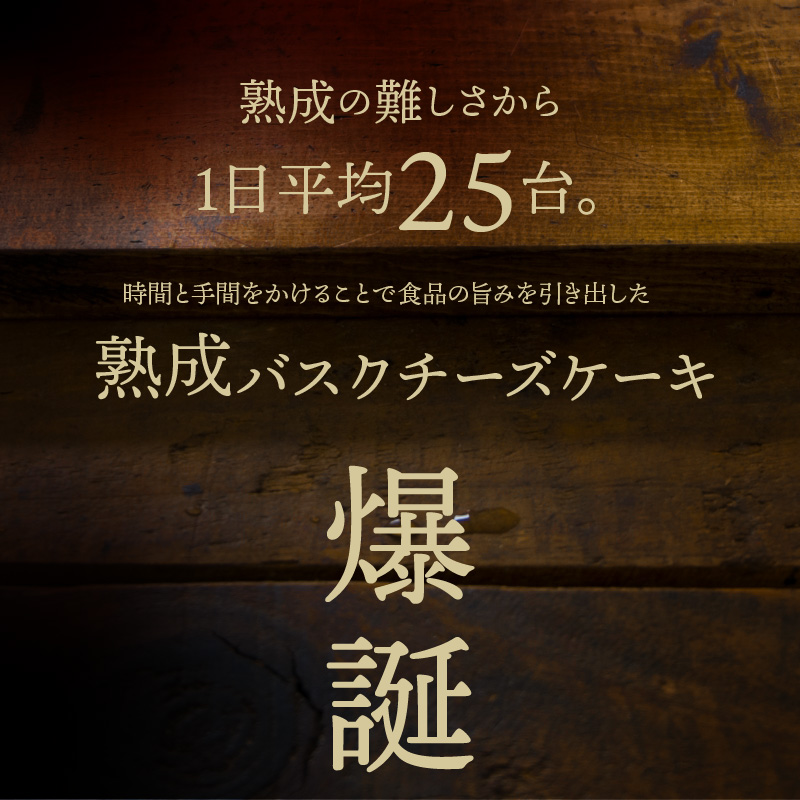 熟成と非熟成バスクチーズケーキ食べ比べセット_H0041-101