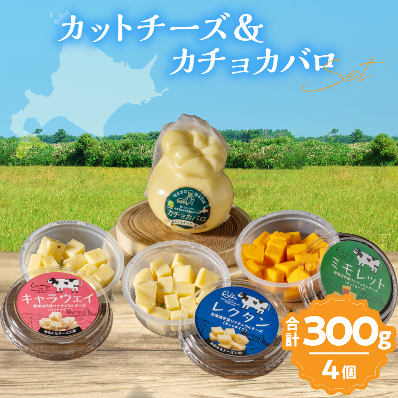 【おおともチーズ工房】《おつまみ＆お料理に!!》カットチーズ＆カチョカバロセット_H0003-116