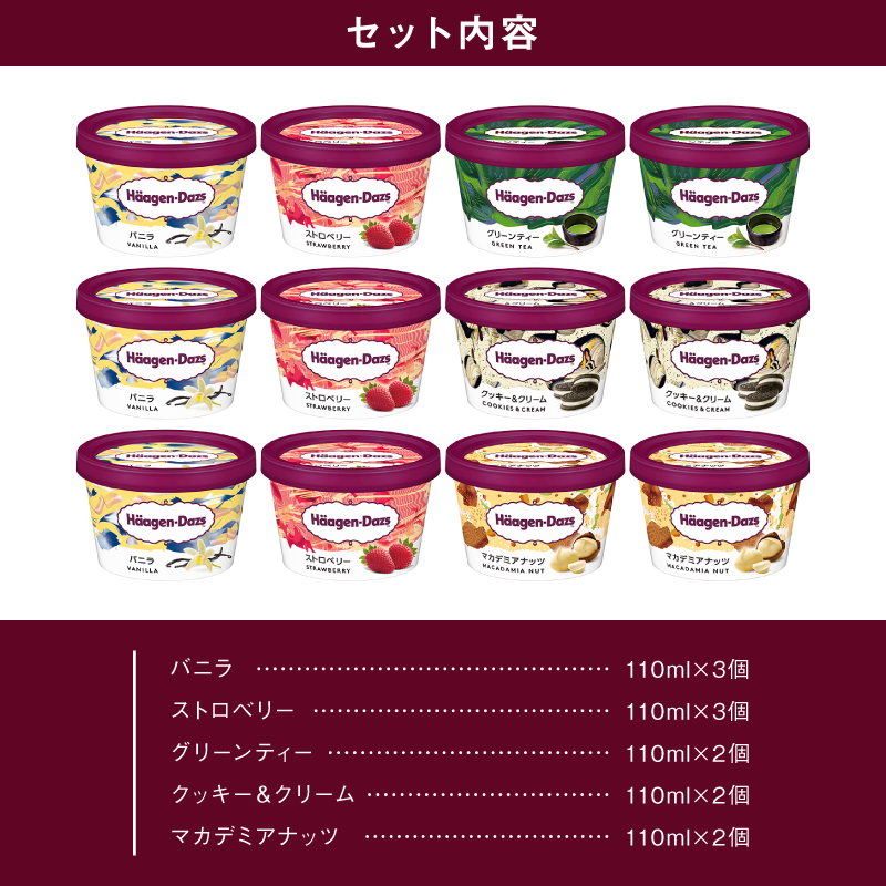 【着日指定できます!!】ハーゲンダッツ『定番ミニカップ5種セット(合計12個)』アイスクリーム アイス スイーツ デザート_H0016-193