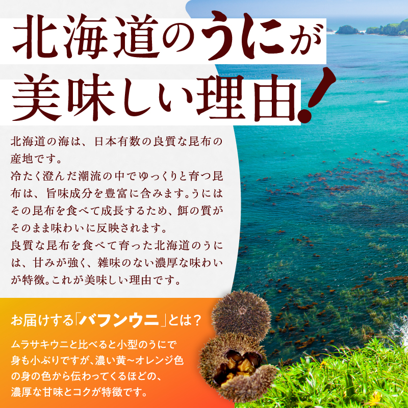 ≪プロ厳選≫最高級折うに(極)計300g うに ウニ 雲丹 折うに 海鮮 海産物 北海道 浜中町 ふるさと納税 人気_H0014-111