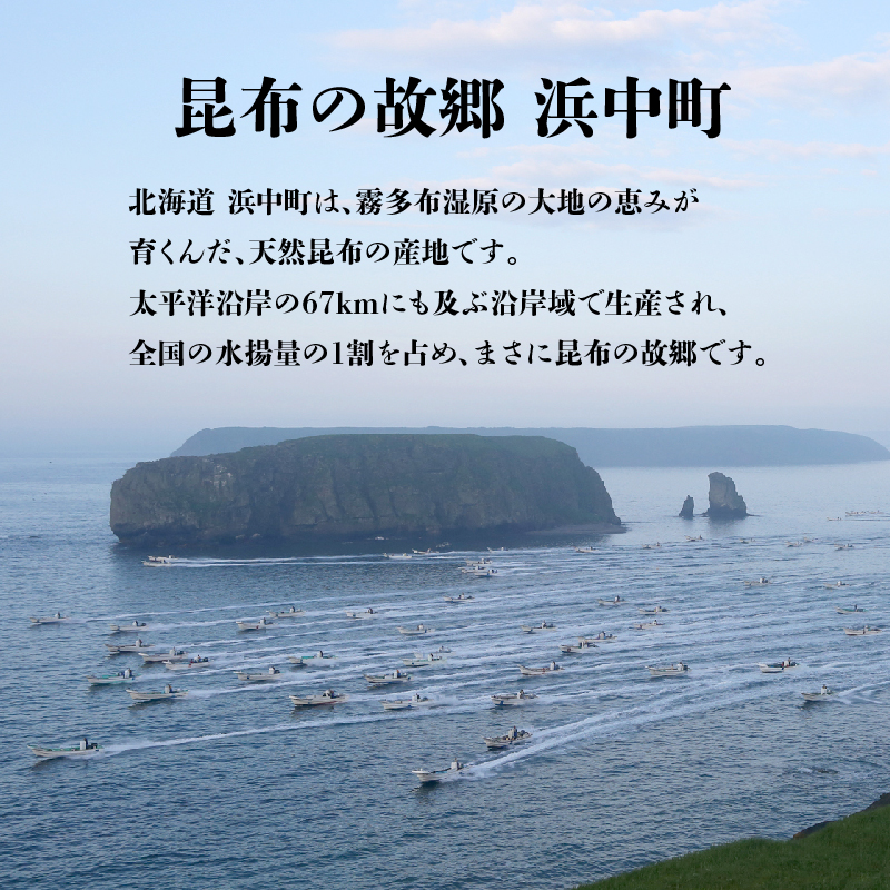プロが選ぶ『棹前昆布(早煮昆布)80g×6個』_H0008-103