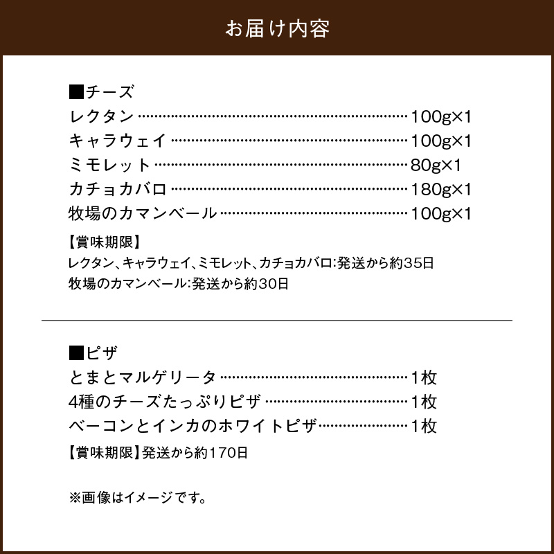 【おおともチーズ工房】厳選チーズセットとチーズ工房のピザ3種詰め合わせ_H0003-100